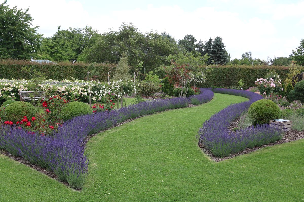 Impressionen Götzes Garten