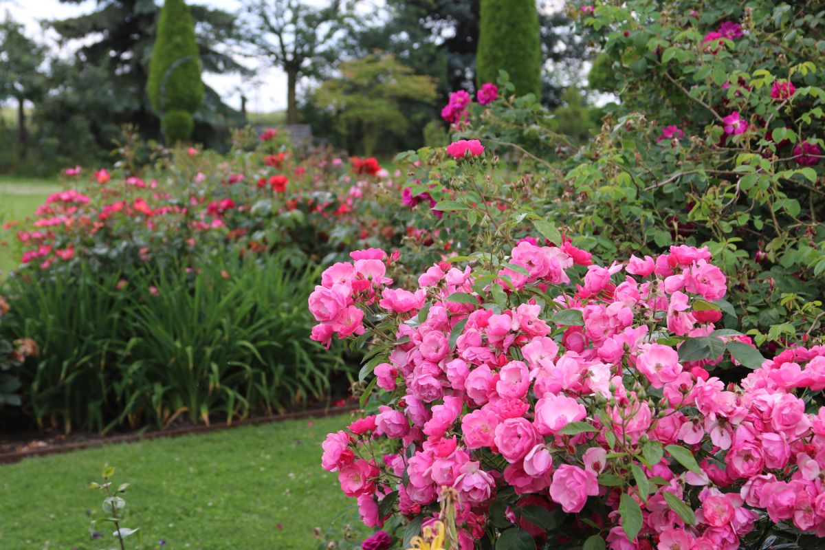 Impressionen Götzes Garten