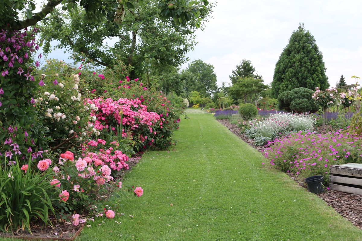 Impressionen Götzes Garten