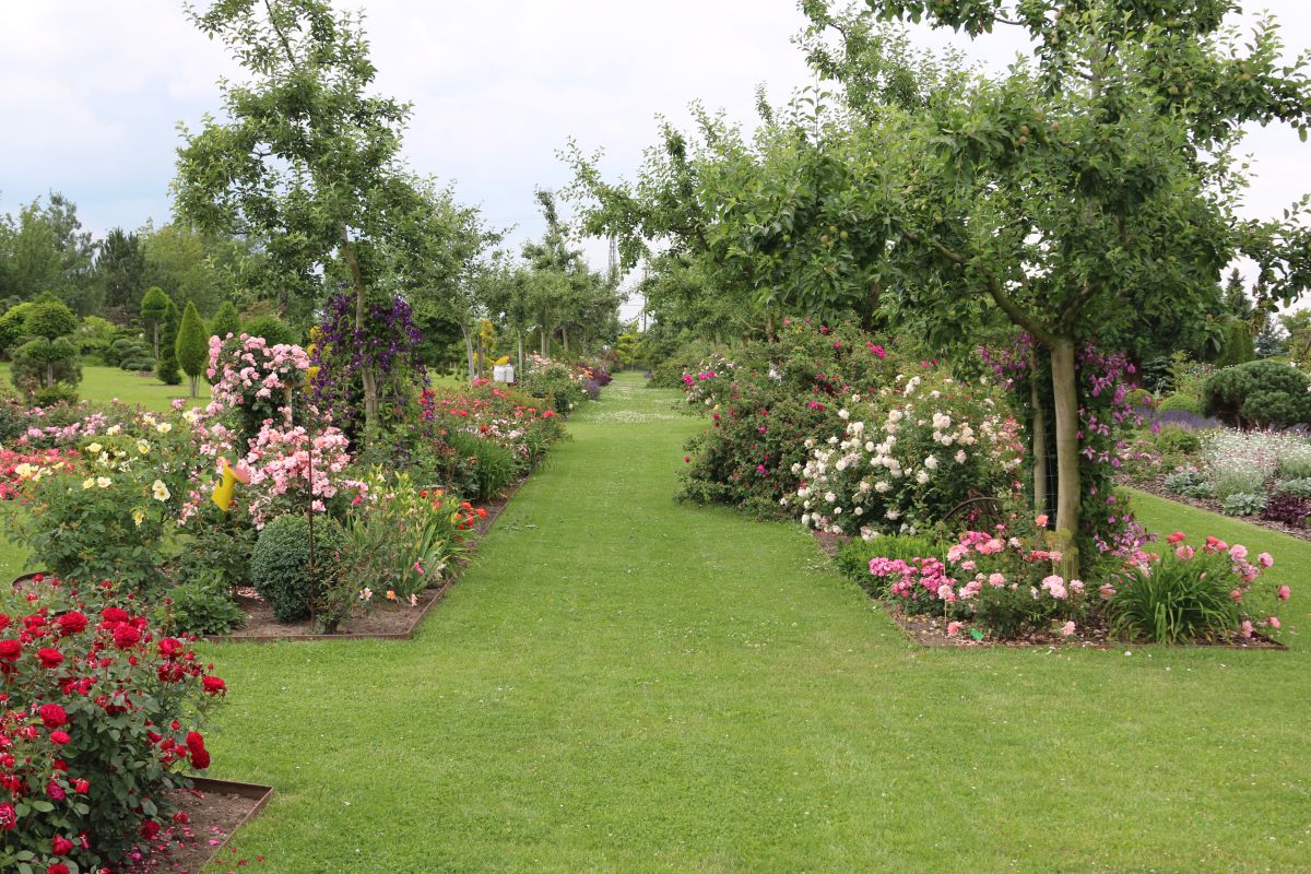 Impressionen Götzes Garten