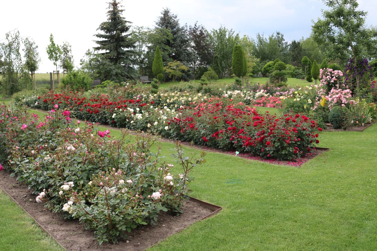 Impressionen Götzes Garten