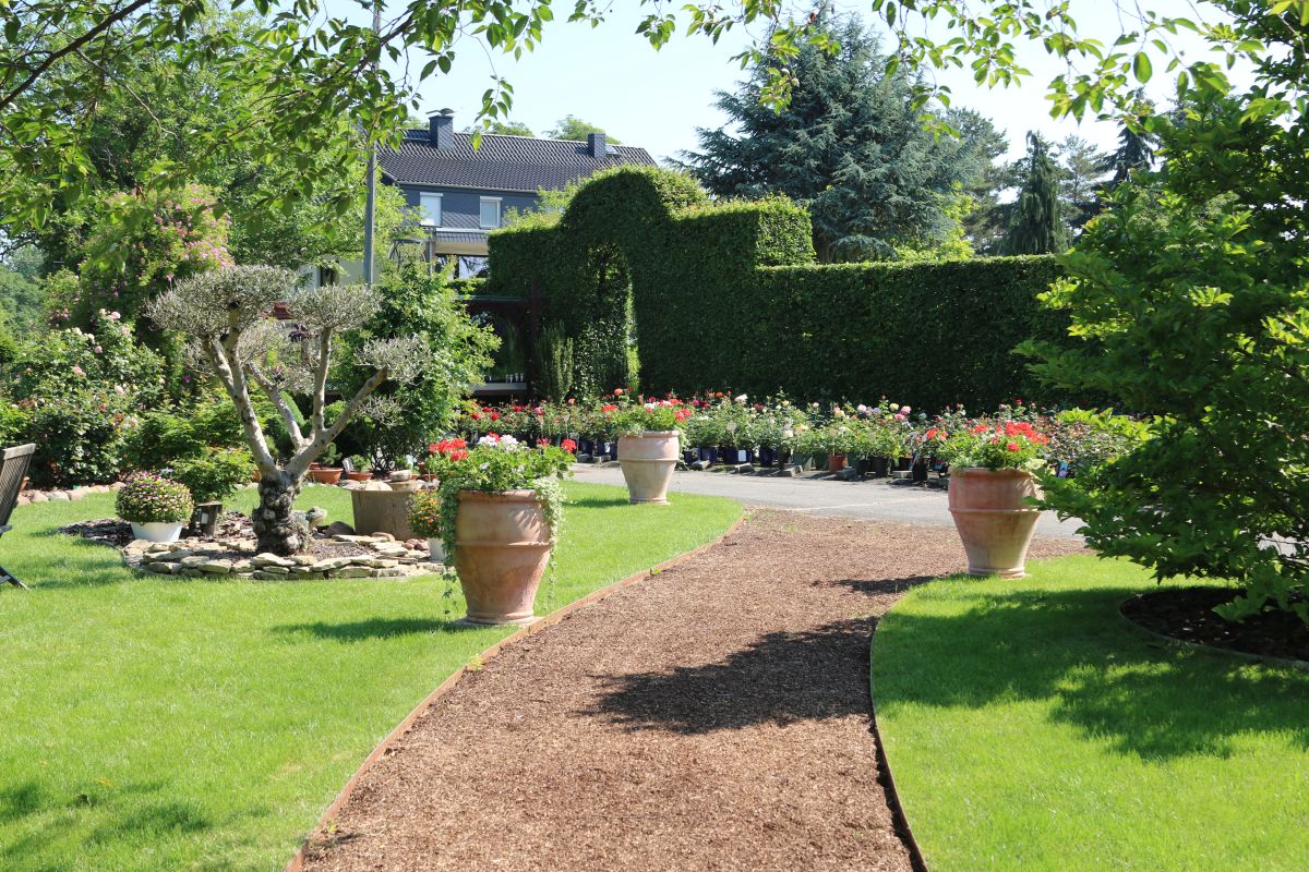 Impressionen Götzes Garten