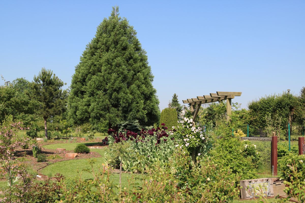Impressionen Götzes Garten
