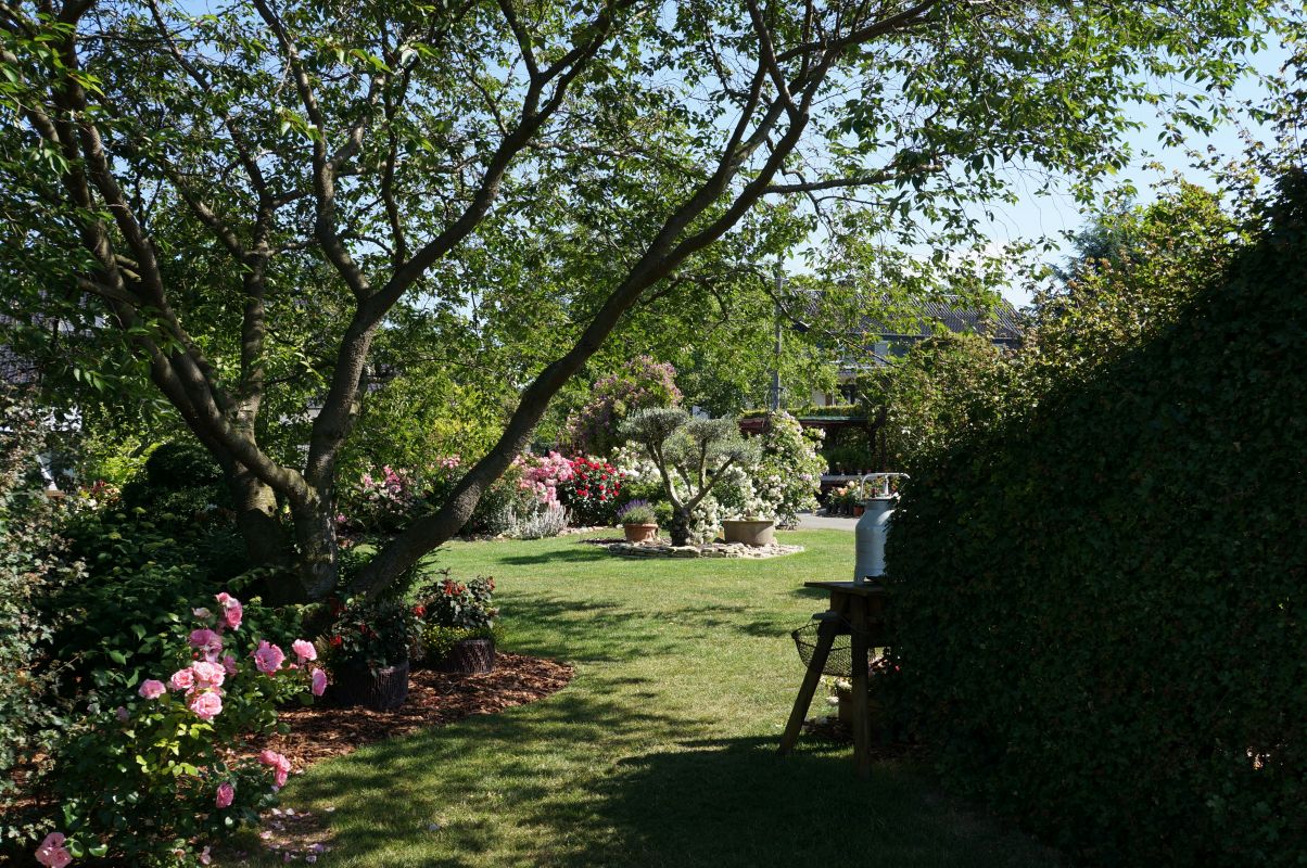Impressionen Götzes Garten