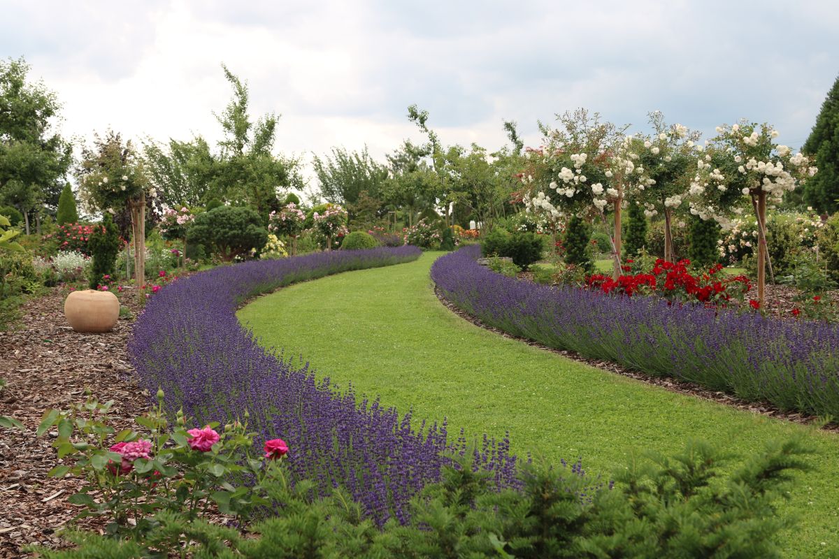 Impressionen Götzes Garten