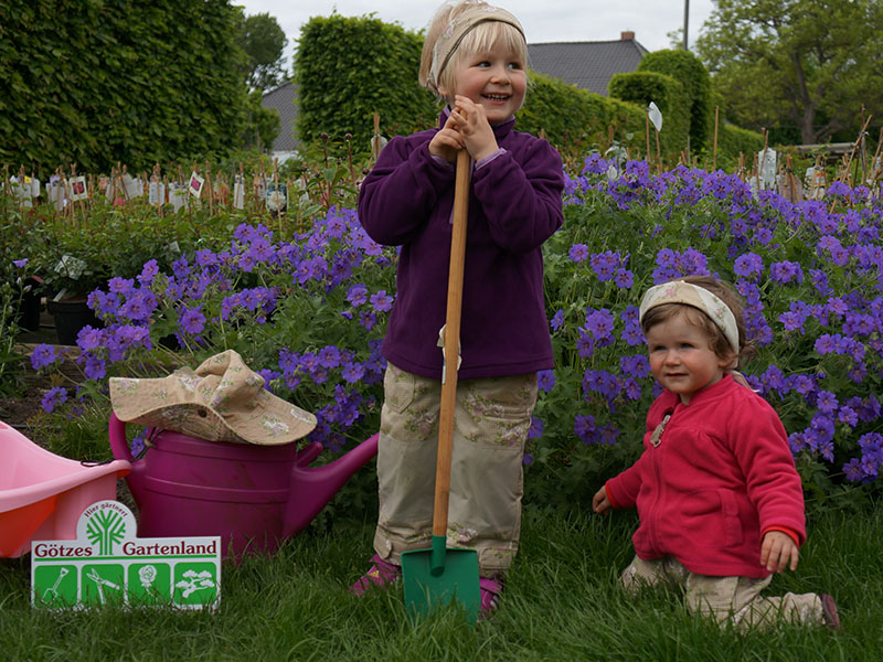 Gartengestaltung & -pflege